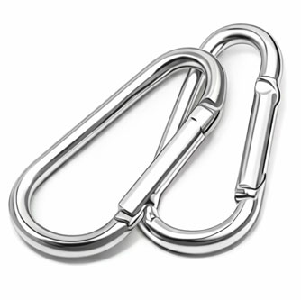 Silver Carabiner
